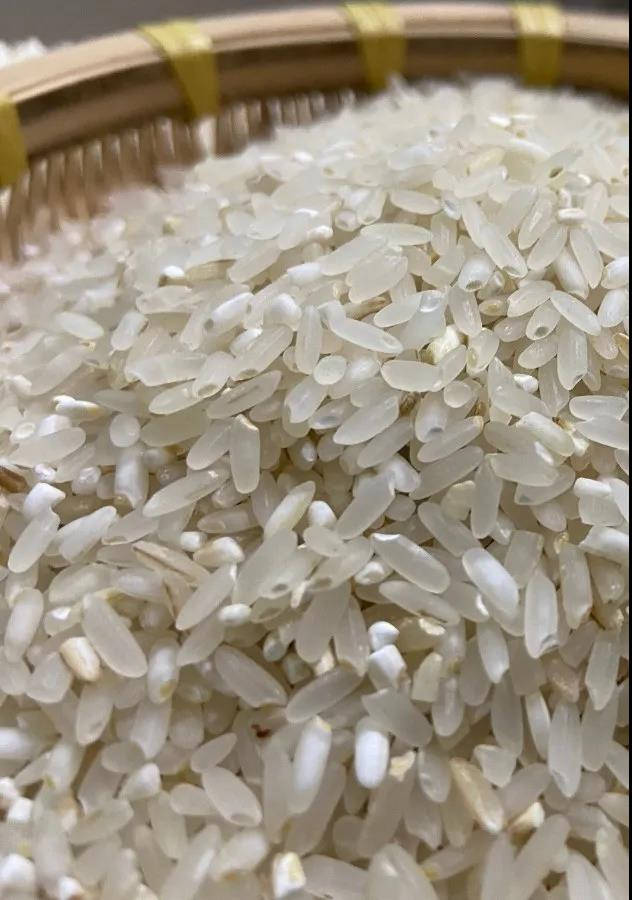 东吉智能碾米机现碾胚芽鲜米