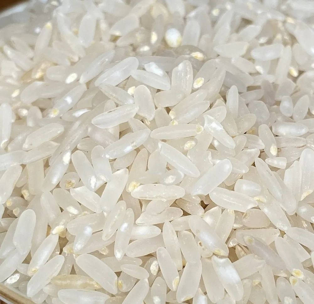 东吉智能鲜米机现碾胚芽米